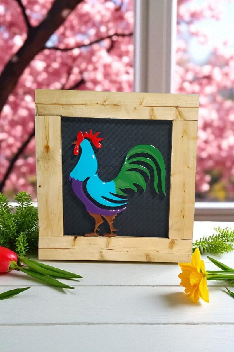 Gallo - Imagen 6